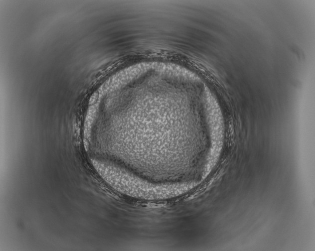 X0000113091013200909251006