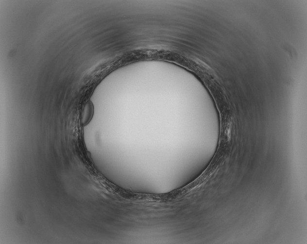 X0000113091014200909251006