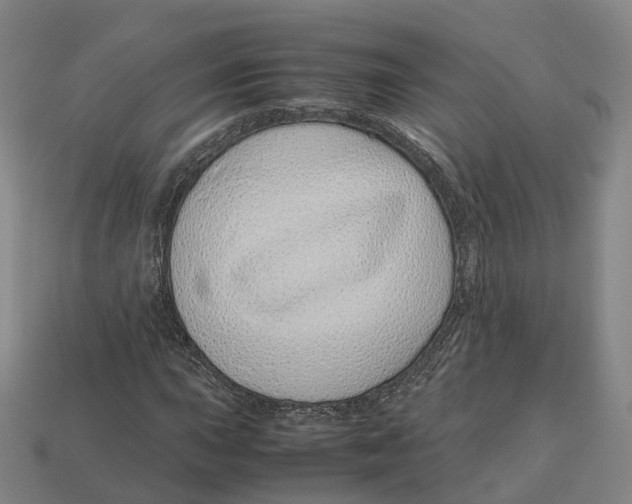 X0000113091015200909251006