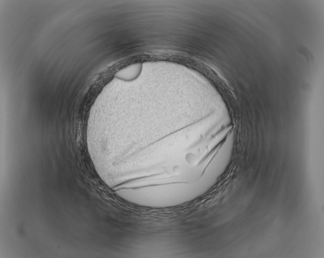 X0000113091016200909251006
