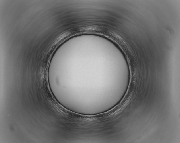 X0000113091017200909251006