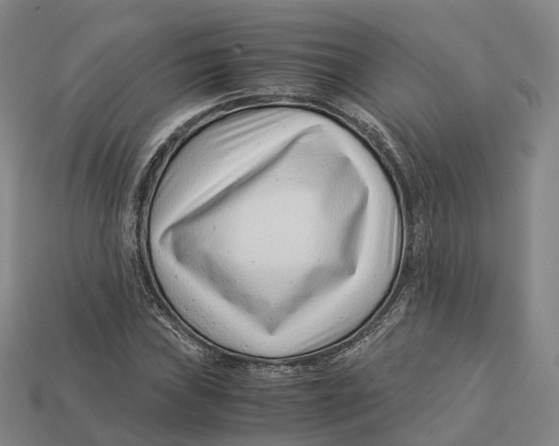X0000113091019200909251006