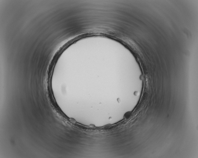 X0000113091020200909251006