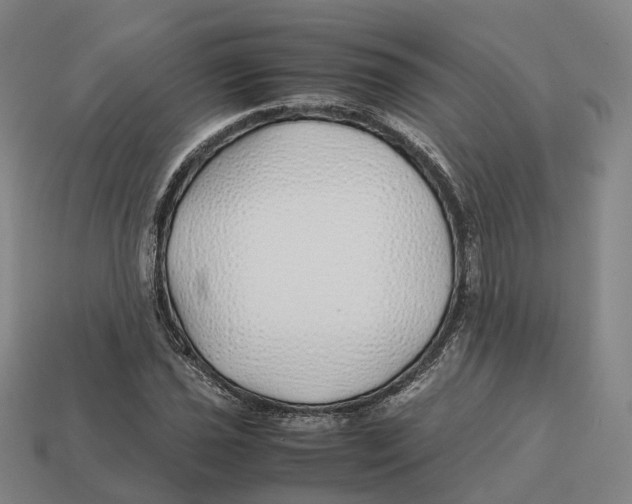 X0000113091021200909251006