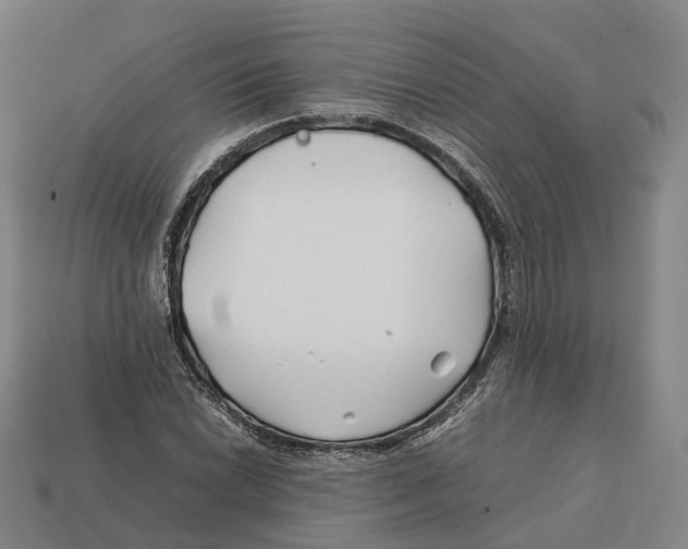 X0000113091022200909251006