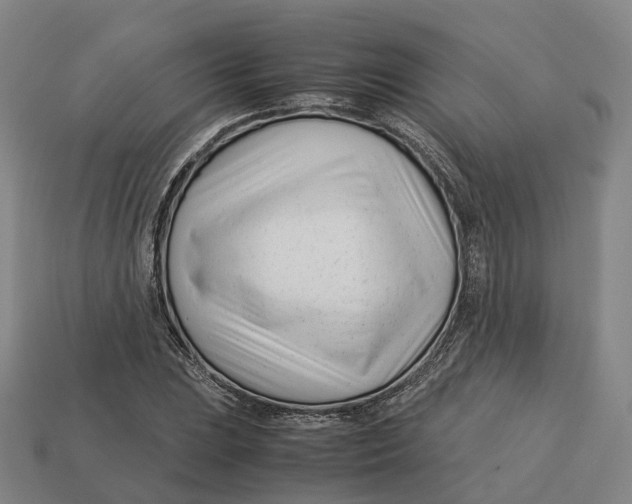 X0000113091023200909251006