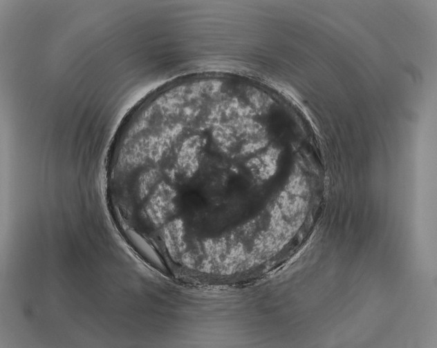 X0000113091024200909251006