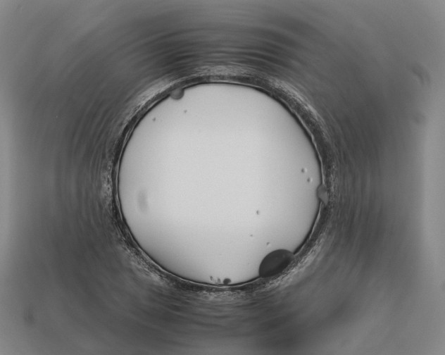 X0000113091025200909251006