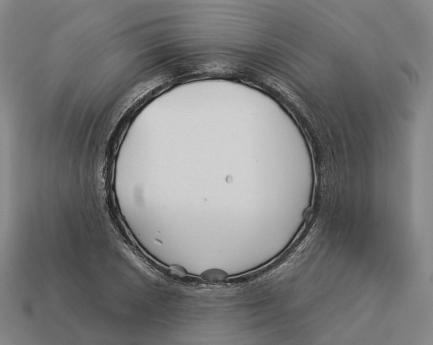 X0000113091026200909251006
