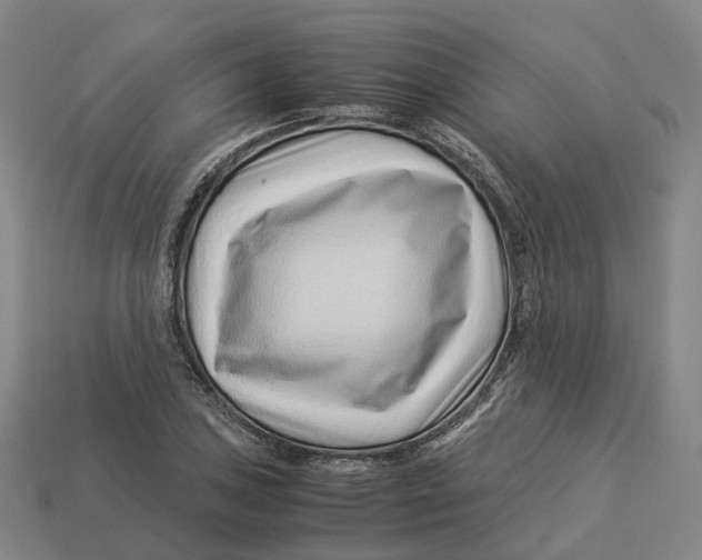 X0000113091027200909251006