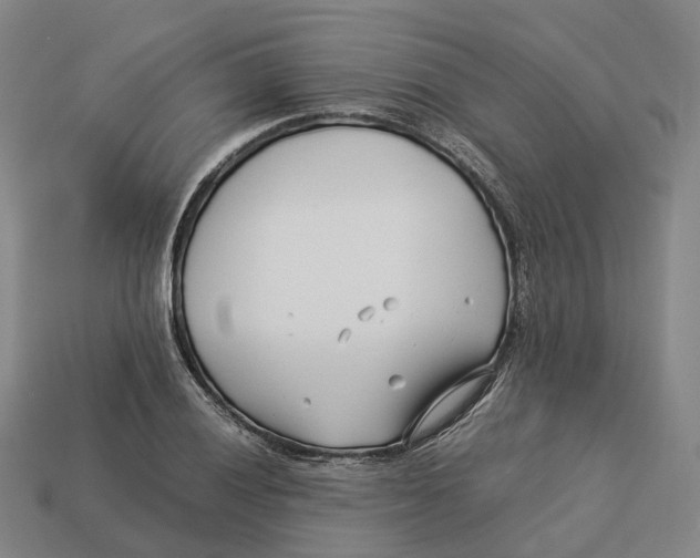 X0000113091028200909251006