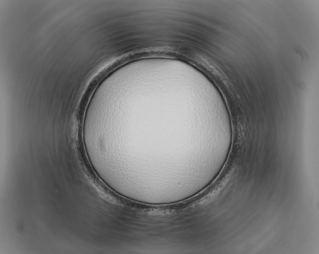 X0000113091029200909251006