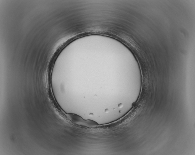 X0000113091030200909251006