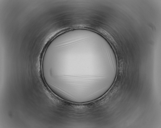 X0000113091031200909251006
