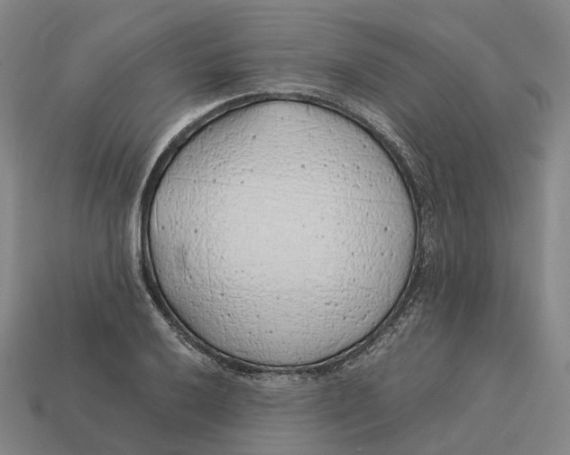 X0000113091032200909251006