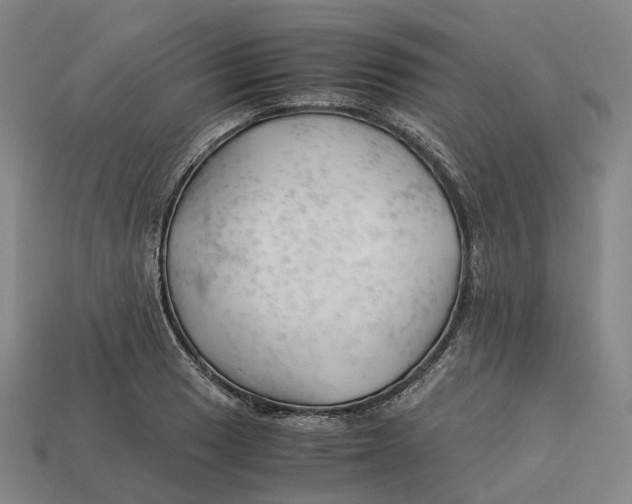X0000113091033200909251006