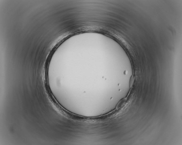 X0000113091034200909251006
