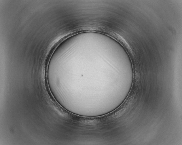 X0000113091035200909251006