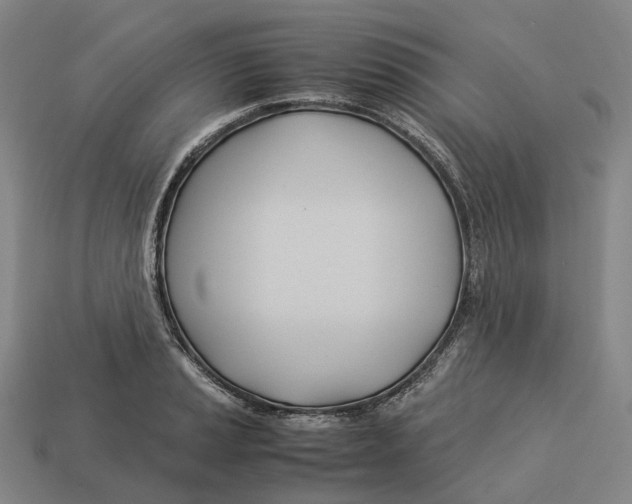 X0000113091037200909251006