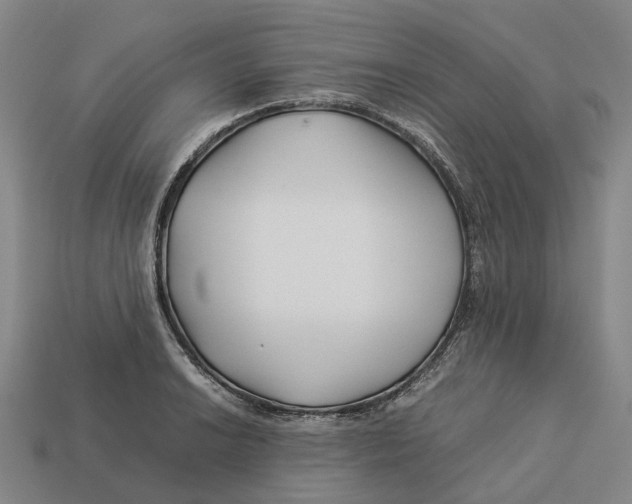 X0000113091038200909251006