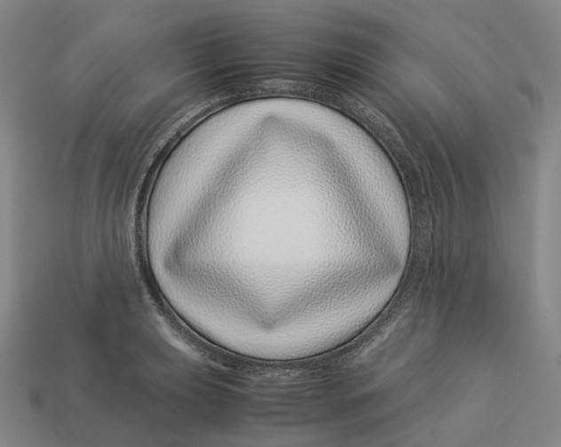 X0000113091039200909251006