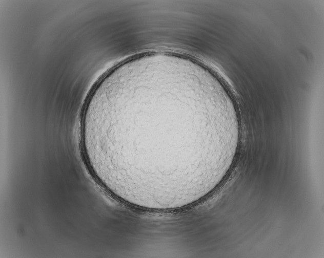X0000113091040200909251006