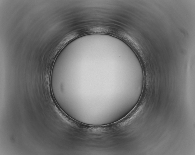 X0000113091041200909251006