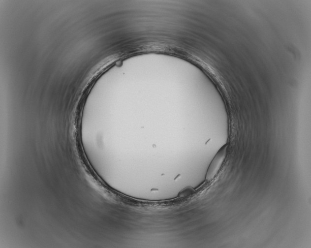 X0000113091042200909251006
