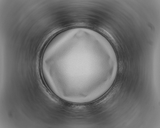 X0000113091043200909251006