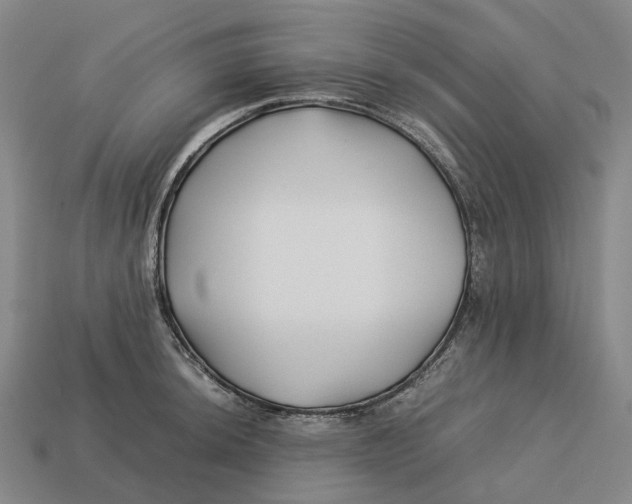 X0000113091044200909251006