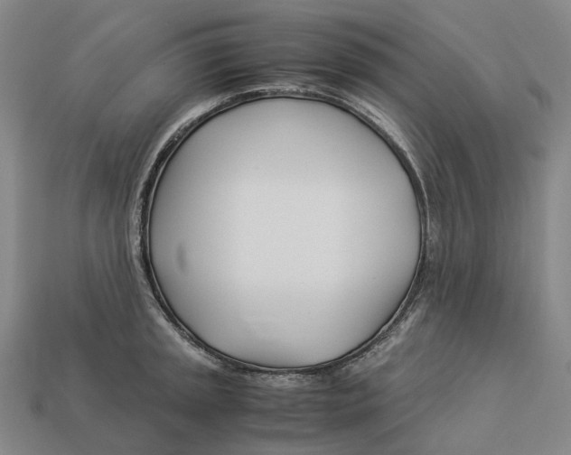 X0000113091045200909251006