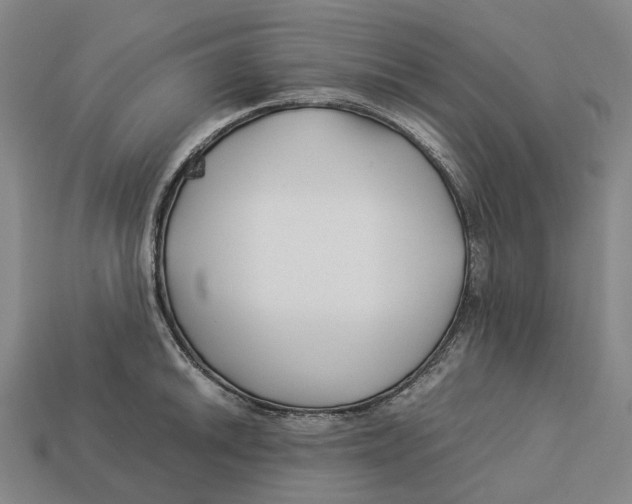 X0000113091046200909251006