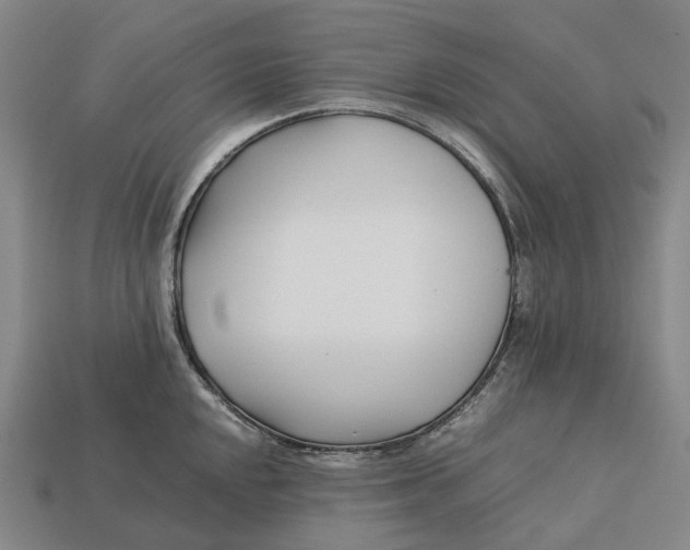 X0000113091048200909251006