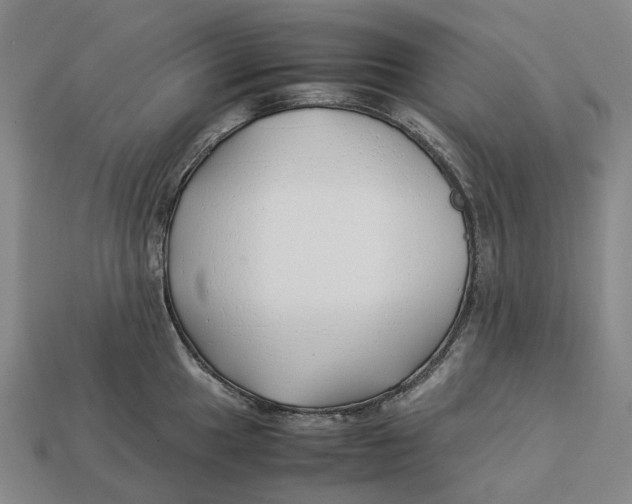 X0000113091049200909251006