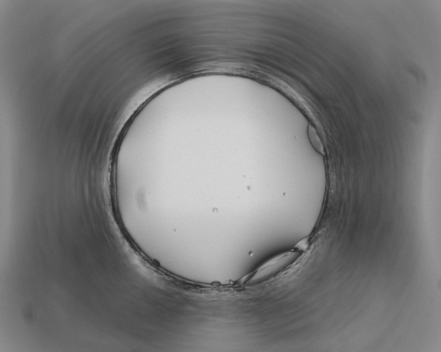 X0000113091050200909251006