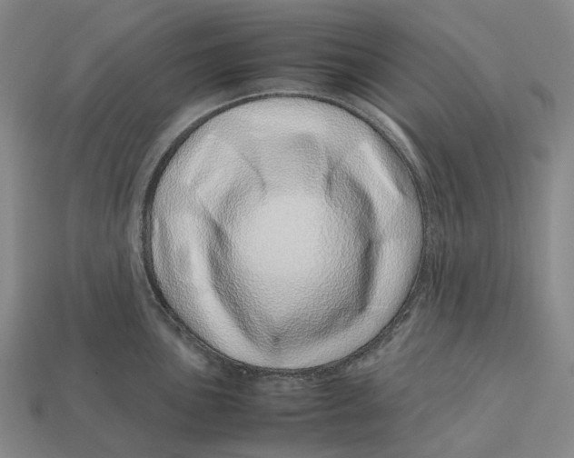 X0000113091051200909251006