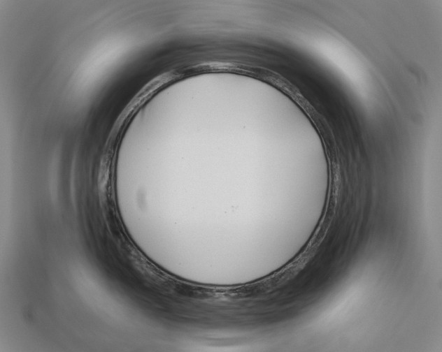 X0000113091052200909251006