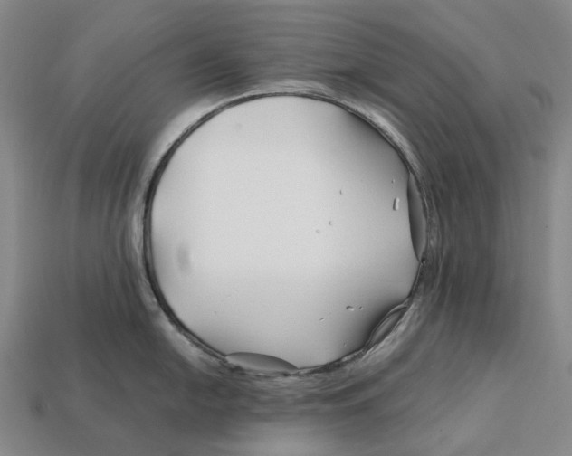 X0000113091054200909251006