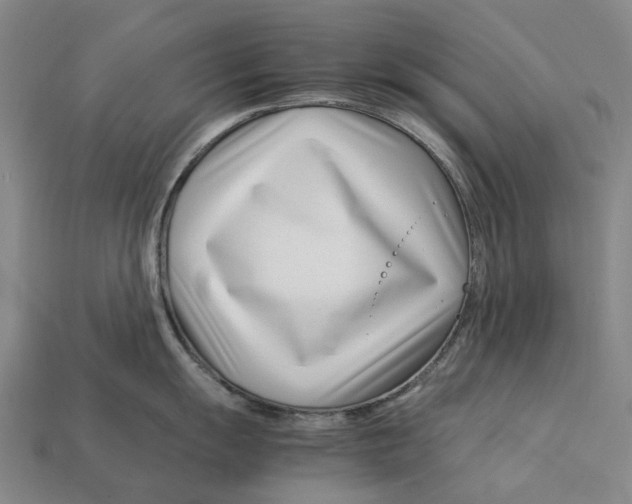 X0000113091055200909251006