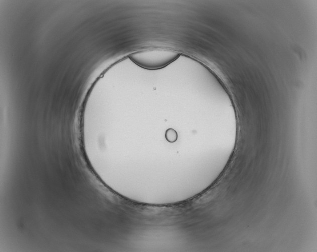 X0000113091056200909251006