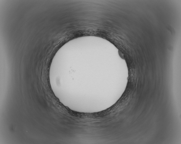 X0000113091057200909251005