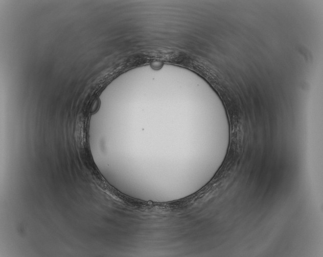 X0000113091058200909251005