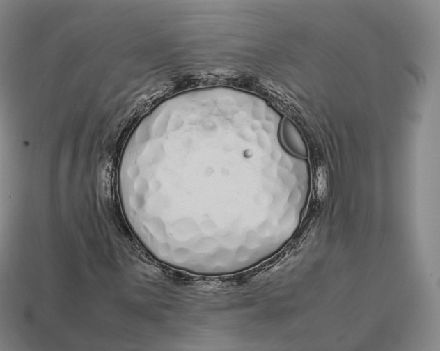 X0000113091059200909251005