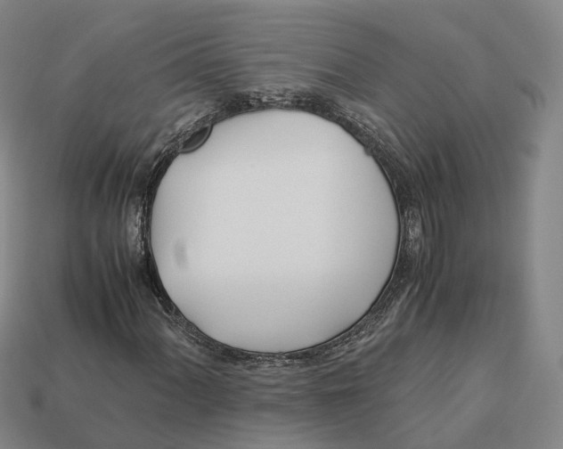 X0000113091060200909251005