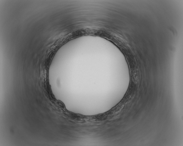 X0000113091061200909251005