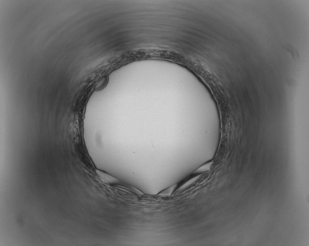 X0000113091062200909251005