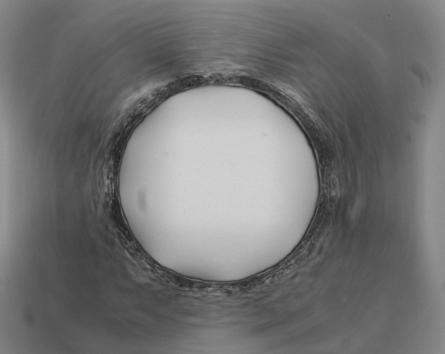 X0000113091063200909251005