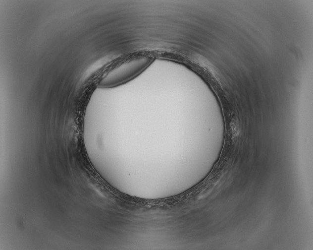 X0000113091064200909251005