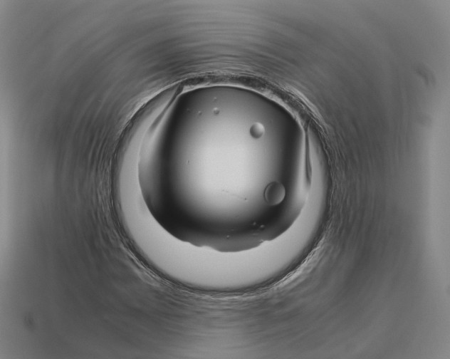 X0000113091065200909251005