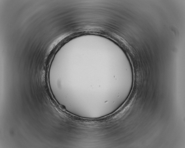 X0000113091066200909251005